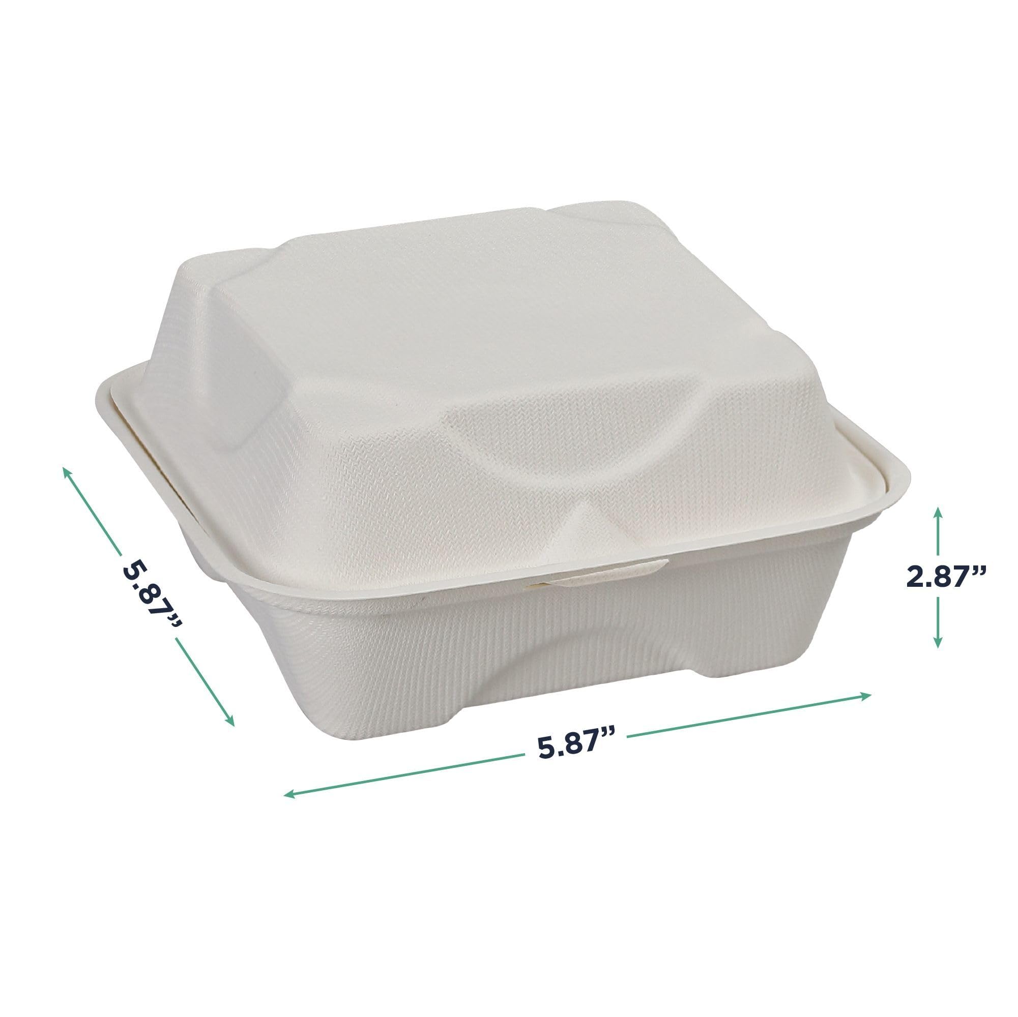Eco-Friendly Compostable 6