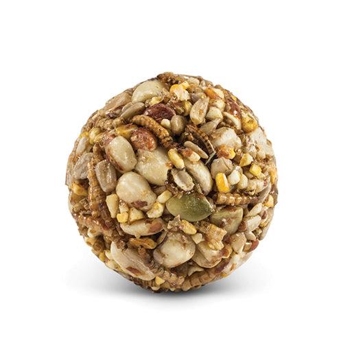 Premium Wild Bird Seed Balls with Nuts & Bugs - High Energy Bird Food for Year-Round Feeding - Attracts Cardinals, Bluebirds & Woodpeckers - Perfect for Backyard Birdwatching & Wildlife Gardens
