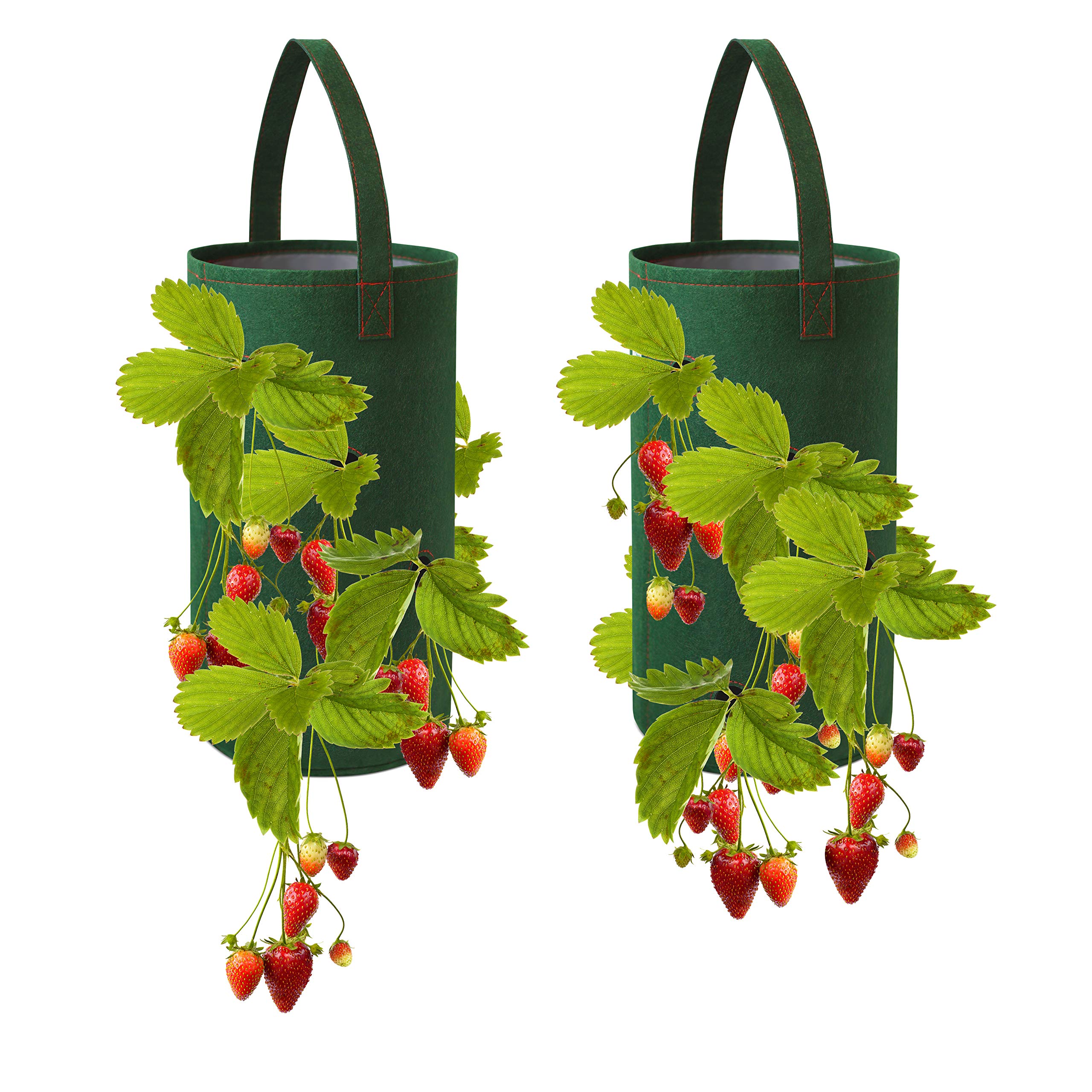 **2 Pack Hanging Strawberry Planter for Bare Root Plants - Breathable Felt Material, Indoor/Outdoor Vertical Garden for Patio, Balcony & Home Decor**