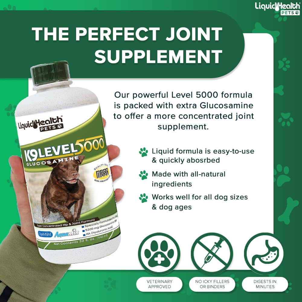 LiquidHealth 128 Oz K9 Liquid Glucosamine Level 5000 for Dogs - Chondroitin & MSM Joint Supplement for Large Breeds - Hip & Joint Health Support - Dog Vitamins & Joint Oil - 1 Gallon - Perfect for Senior Dogs & Active Pets with Joint Discomfort