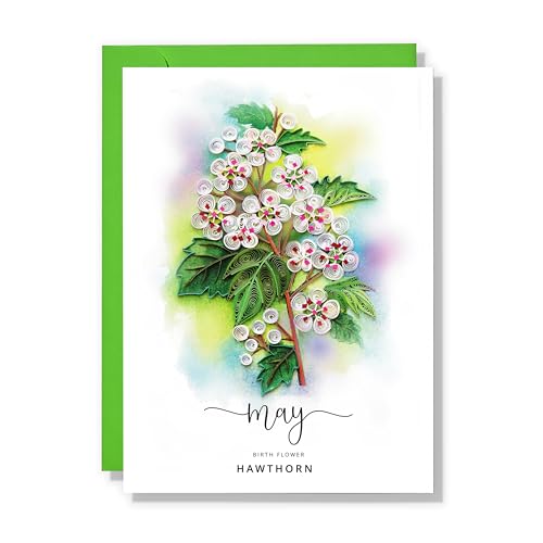 May - Hawthorn