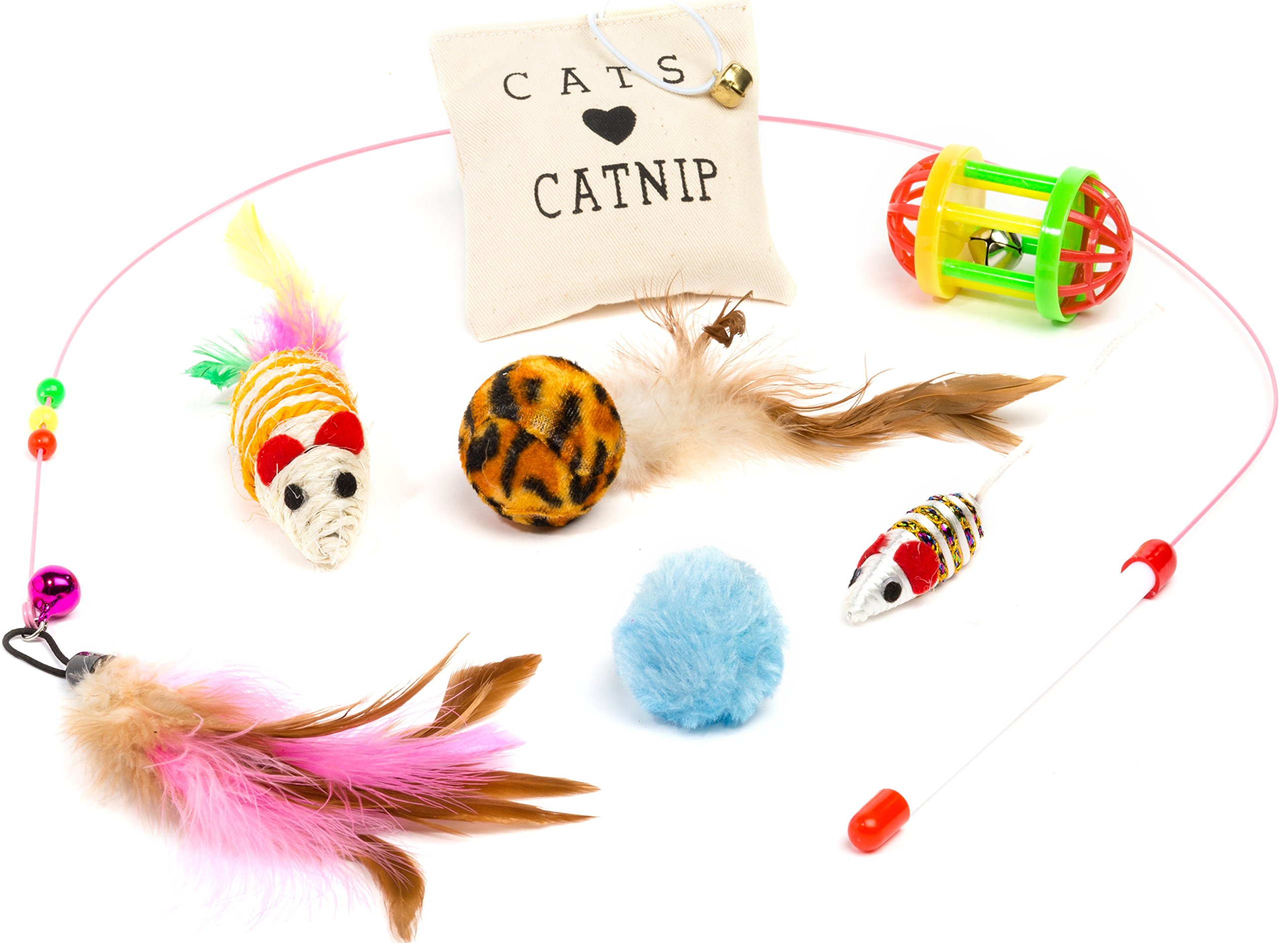 Friends Forever Kitten Toys Variety Pack - 20-Piece Cat Toys Set with Fishing Pole, Catnip Pillow & More | Interactive Play Toys for Indoor Cats, Kittens & Adult Cats | Perfect for Playtime, Exercise & Bonding