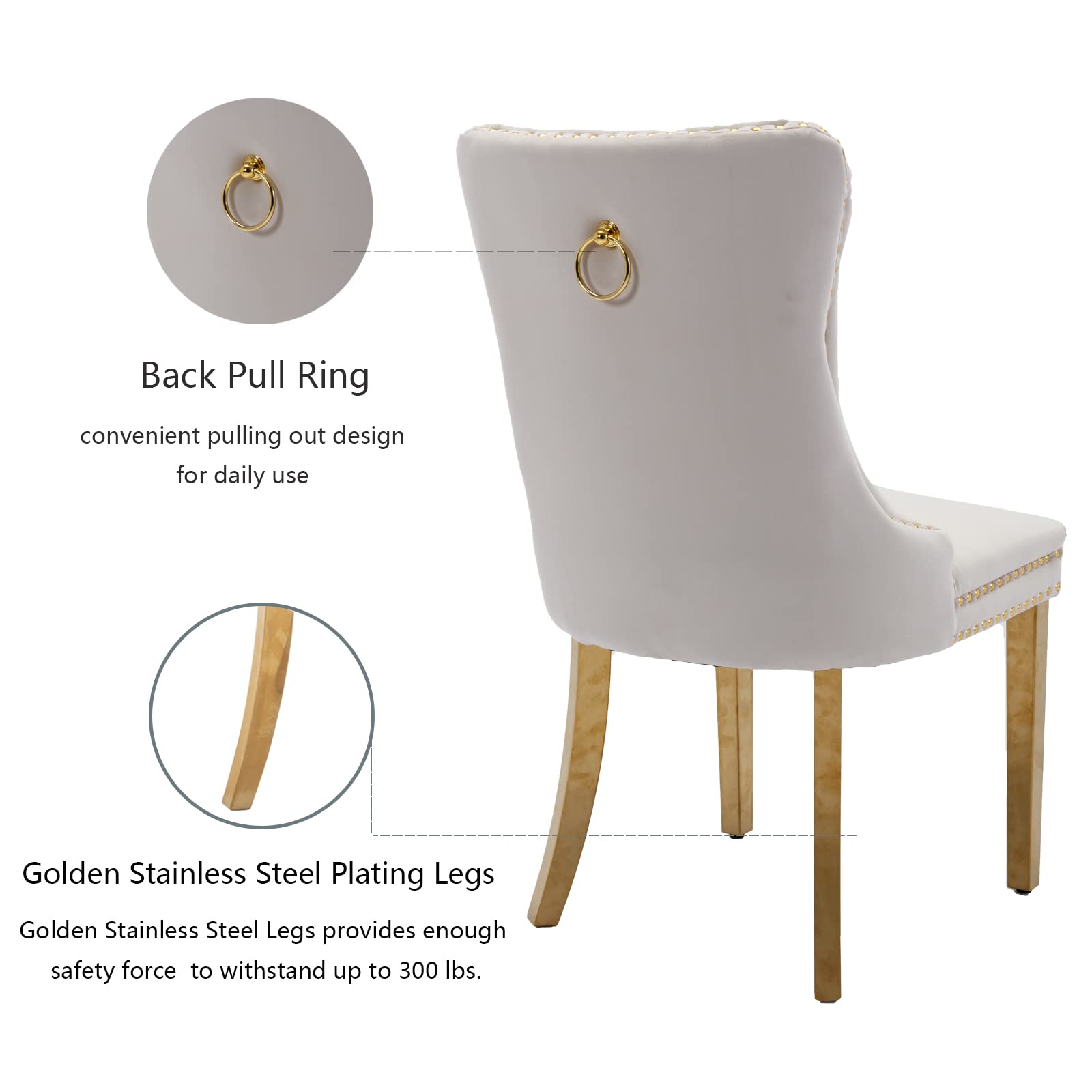 6 Beige Velvet Dining Chairs Set - Modern Upholstered Kitchen Chairs with Golden Stainless Steel Legs & Back Ring Pull Trim for Dining Room, Living Room & Kitchen Decor - Perfect for Home Entertaining & Cozy Family Meals (Beige)