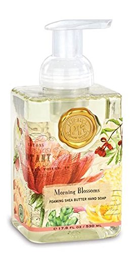 Michel Design Works Foaming Hand Soap - Morning Blossoms Scent | Luxury Moisturizing Hand Wash | Perfect for Bathroom, Kitchen & Guest Soap Dispenser | Refillable & Eco-Friendly