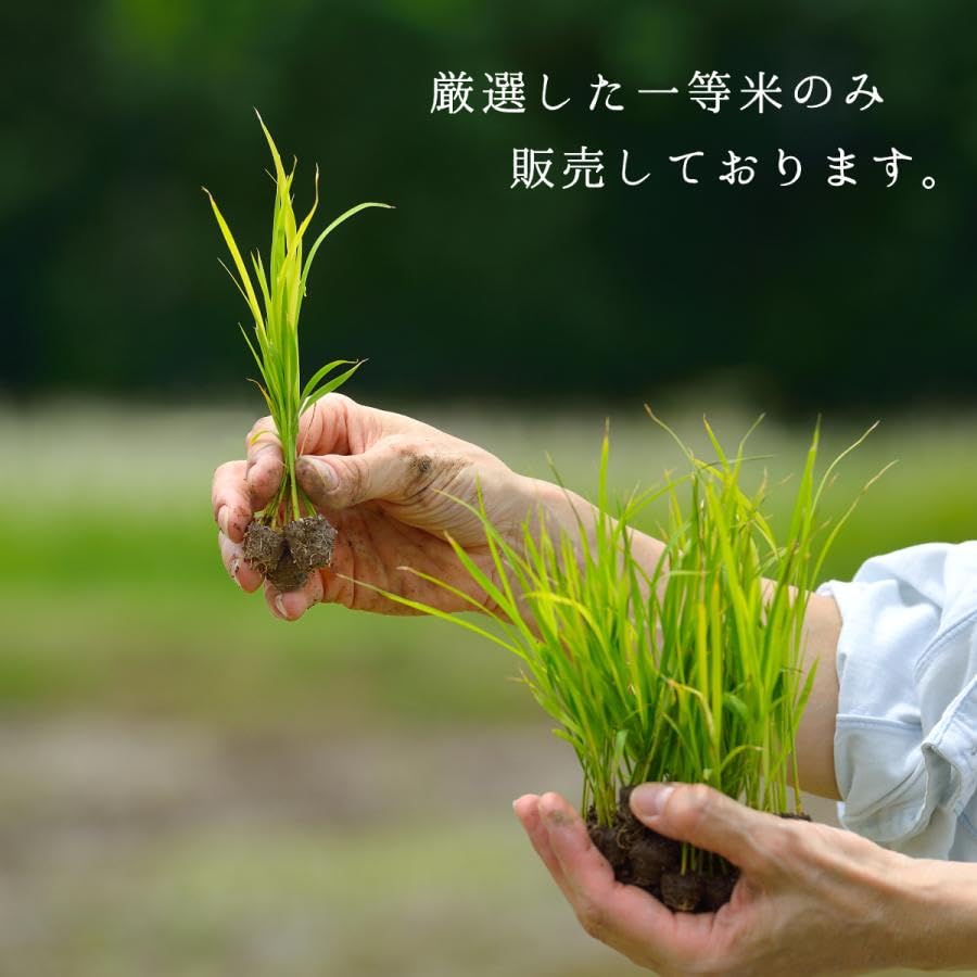 Premium Kijima Tsuyahime Yamagata Rice - Japanese Short Grain Rice, 4.4lb Bag | Top-Rated in Japan, Pure & Delicious Specialty Rice from Okitama Region | Perfect for Sushi, Onigiri & Traditional Japanese Cuisine