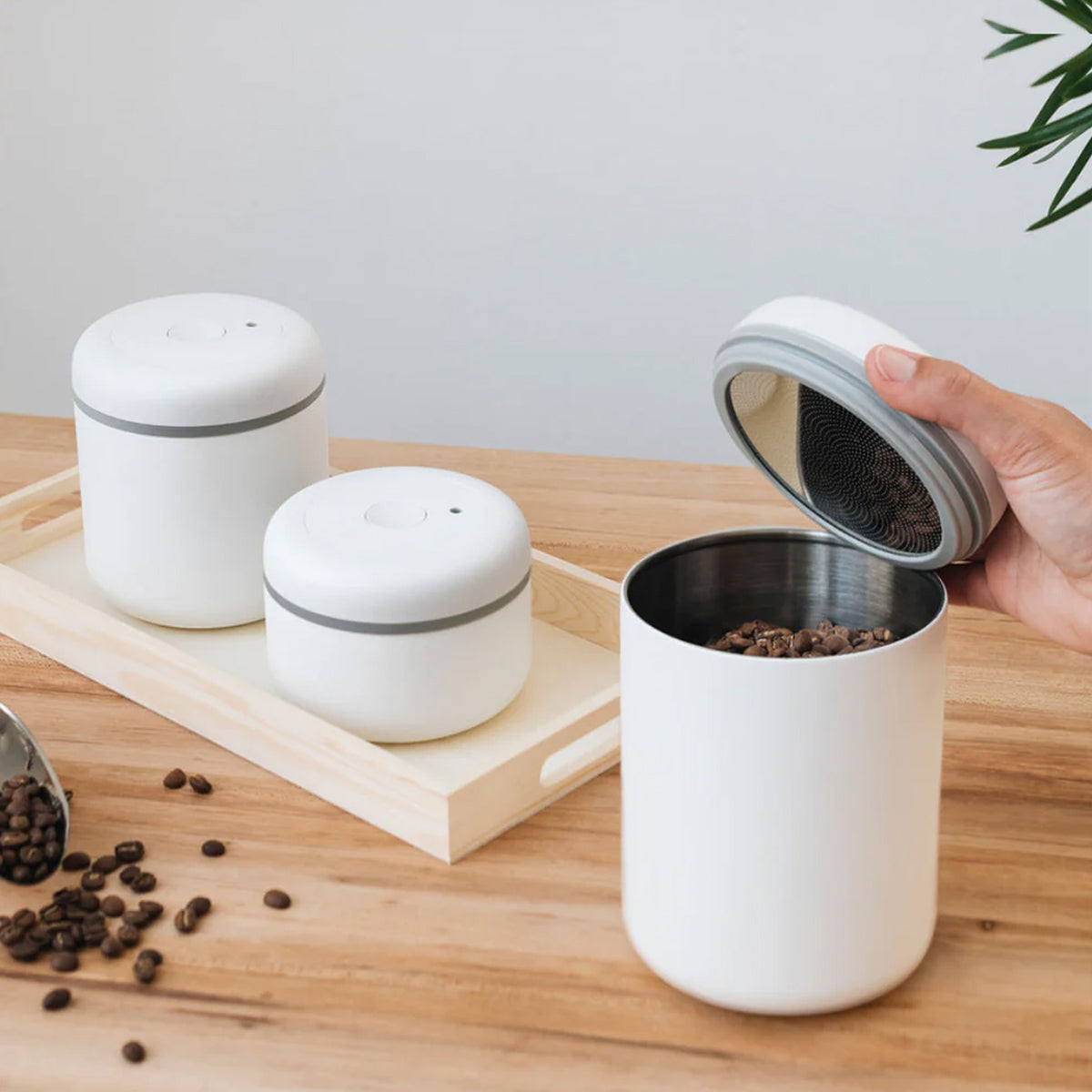 Fellow Atmos Coffee Canister 1.2L (40oz) - Airtight Vacuum Seal for Freshness, Matte White Design - Perfect for Kitchen Countertop, Pantry Storage & Coffee Bean Preservation