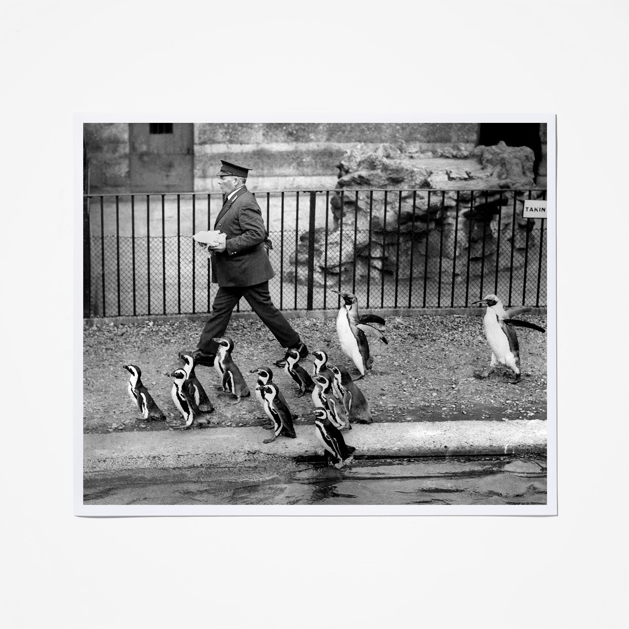 Happy Feet at London Zoo - Comfortable & Stylish Animal-Themed Slippers for Kids & Adults - Perfect for Home, Gifts & Zoo Visits