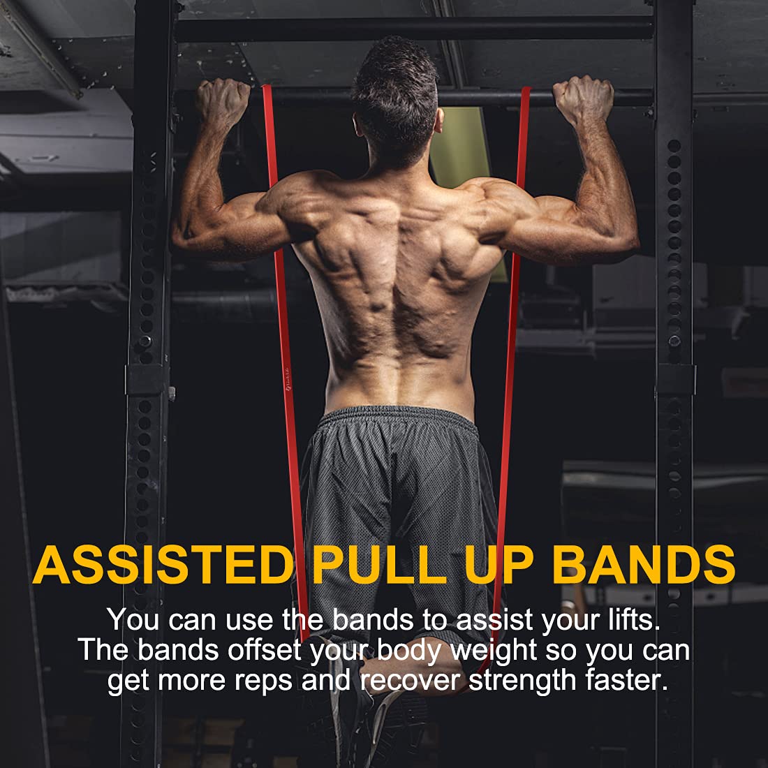 Lively Life Long Resistance Bands Set - Heavy Duty Pull Up Assist Bands for Men & Women - Home Gym Workout Equipment for Yoga, Pilates, Crossfit, Assisted Pull Ups & Strength Training - Perfect for Home Exercise, Gym Workouts & Physical Therapy
