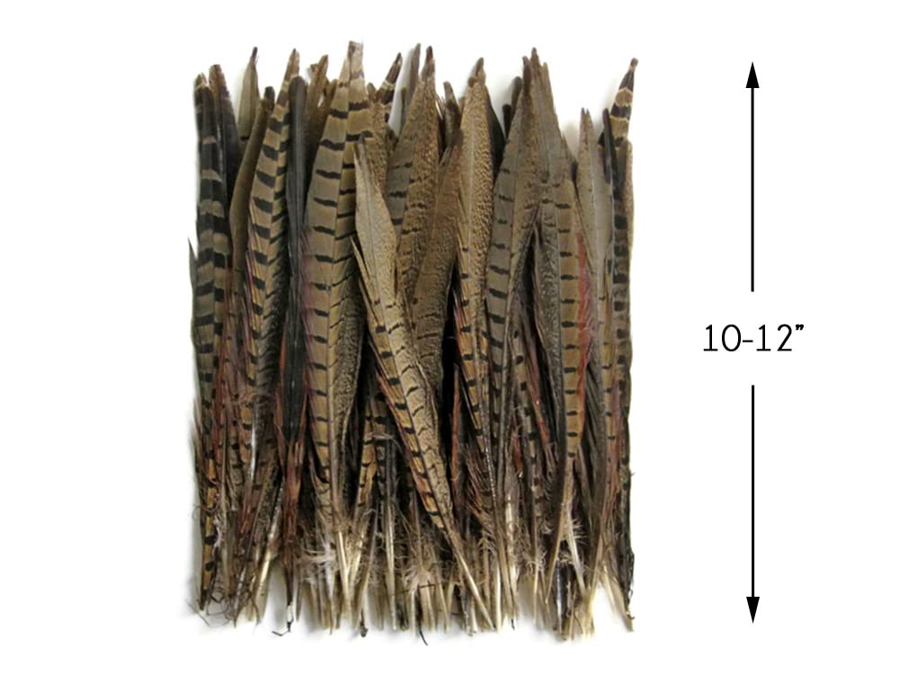50 Pieces Bulk Natural Brown Ringneck Pheasant Tail Feathers 10-12