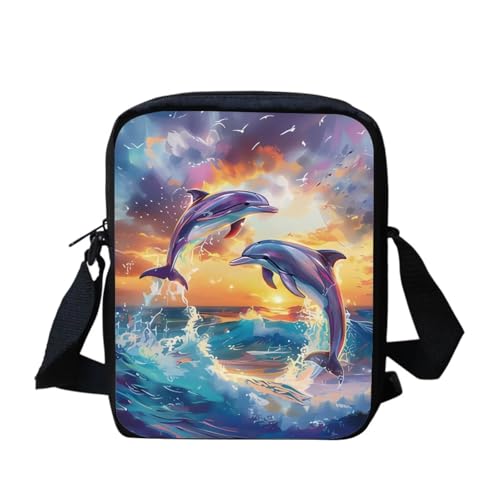 Dolphin Sunset
