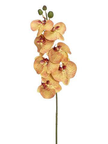 44 Inch Phalaenopsis Orchid Spray in Green Burgundy - Pack of 4 | Artificial Silk Flowers for Home Decor, Wedding Centerpieces & Office Arrangements