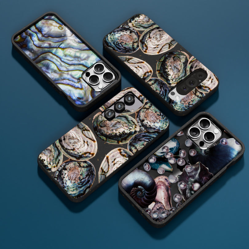 Black Abalone Shell iPhone 12/12 Pro Case - Premium Protective Cover with Unique Natural Shell Design - Perfect for Beach Lovers & Ocean-Themed Gifts