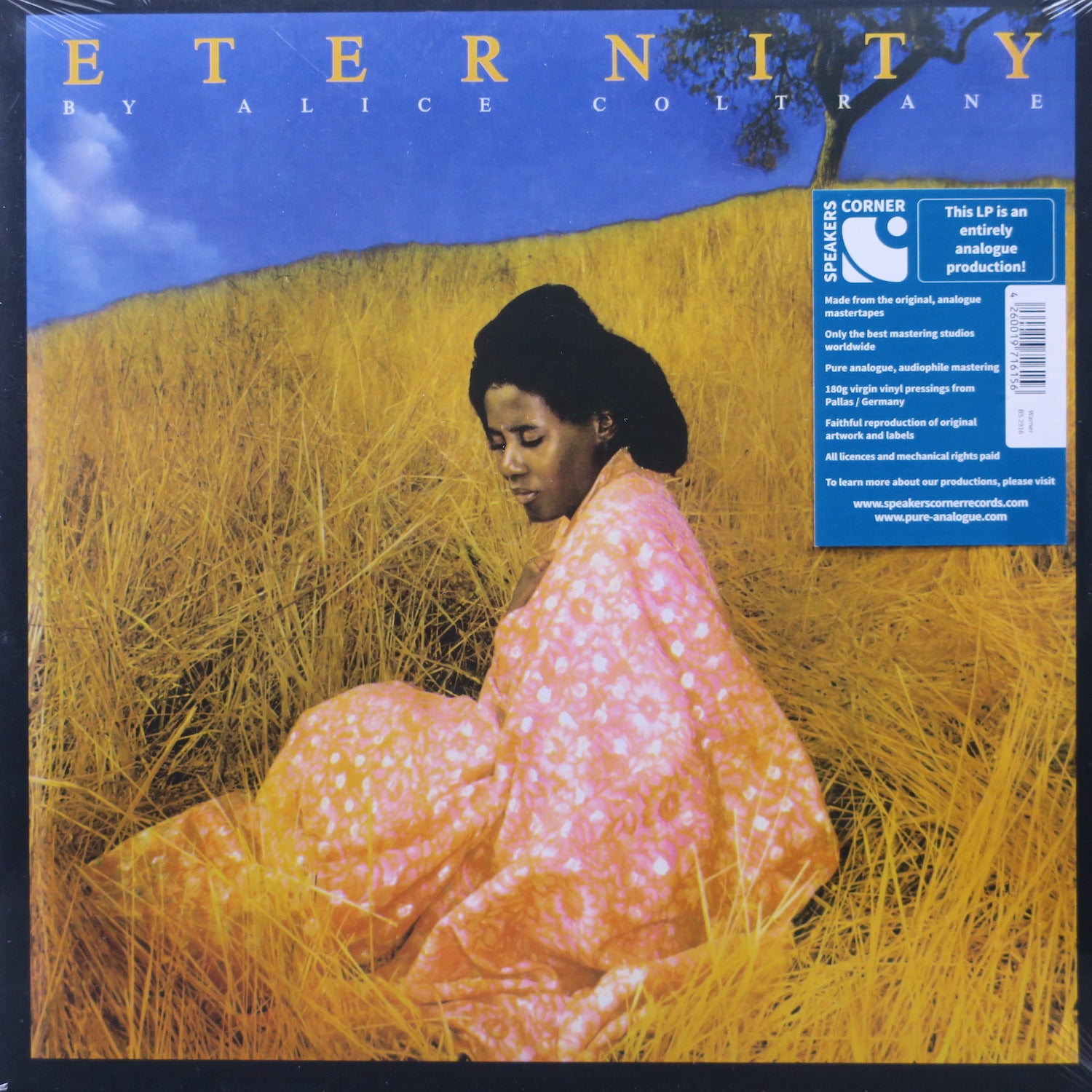ALICE COLTRANE 'Eternity' SPEAKERS CORNER All Analog 180g Vinyl LP - Audiophile Vinyl Record for Jazz Lovers & Music Collectors - Perfect for Home Listening & Hi-Fi Systems