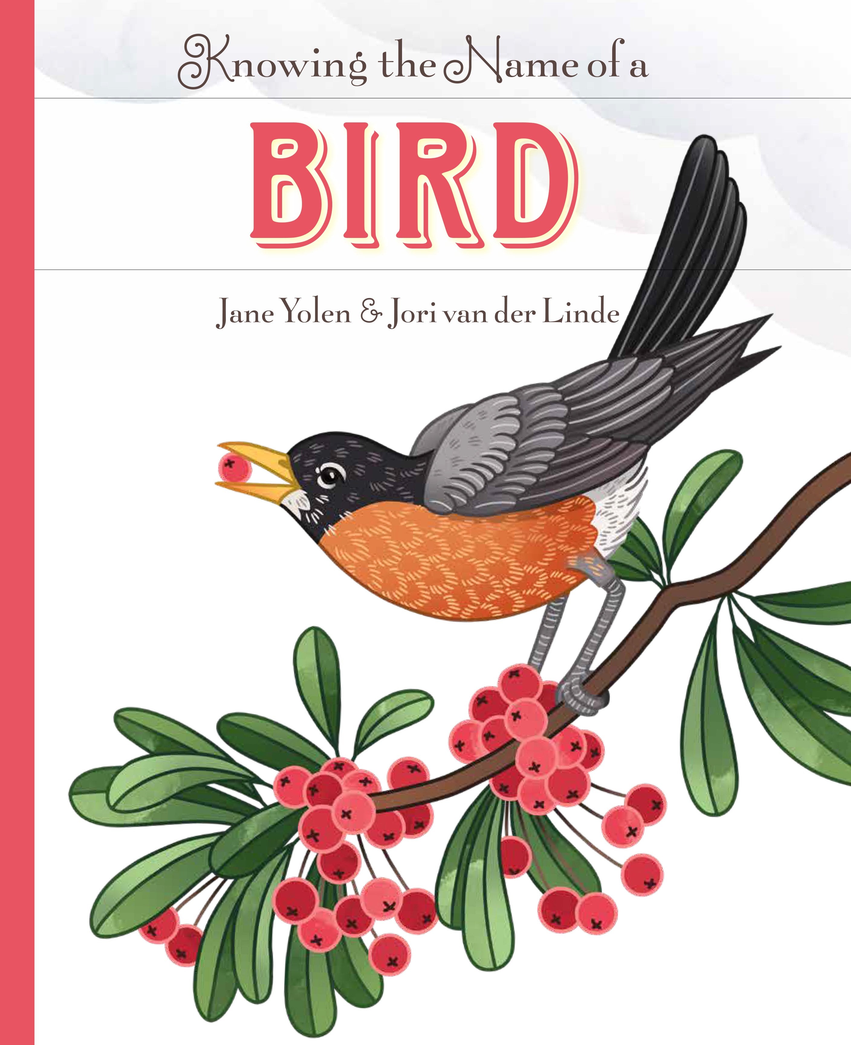 Discover the Name of a Bird - Bird Identification Guide for Birdwatchers & Nature Lovers | Perfect for Hiking, Birding, and Outdoor Adventures