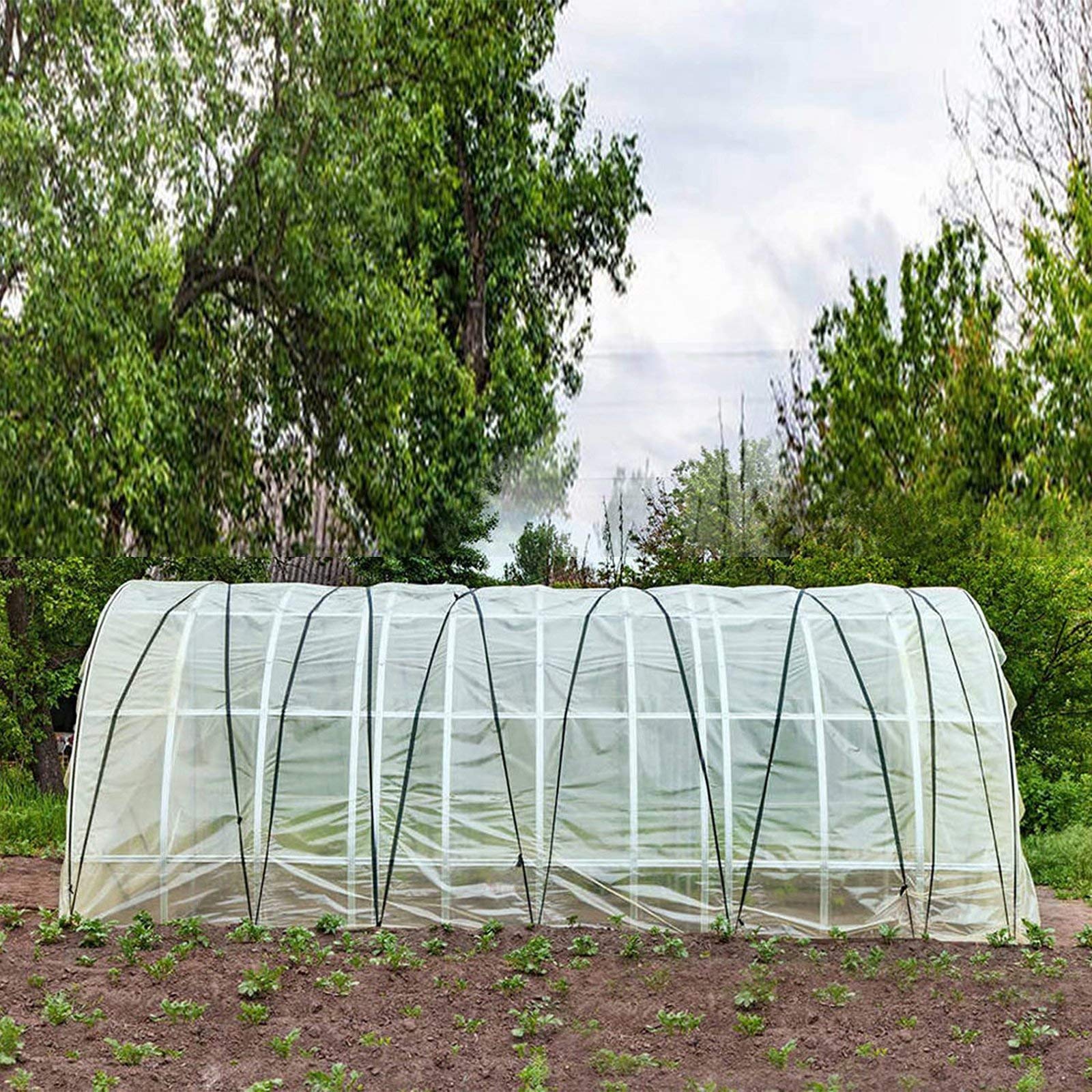 Premium 6.56x39.4Ft Clear Greenhouse Plastic Film - UV Resistant Polyethylene Sheeting for Plant Protection, Freeze & Frost Prevention - Ideal for Gardening, Agriculture & Backyard Greenhouses
