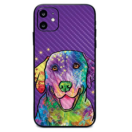 Golden Retriever Rainbow