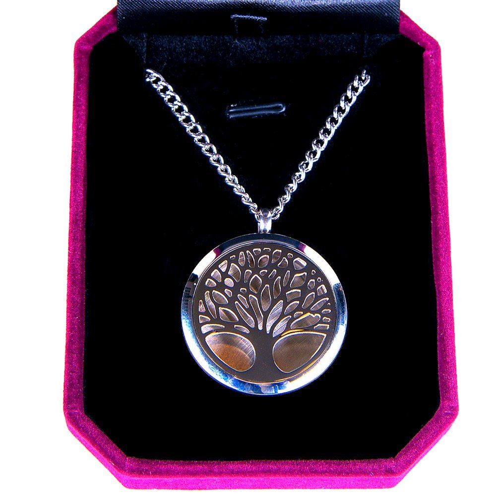 Aromatherapy Essential Oil Diffuser Necklace - Stainless Steel Adjustable Pendant Locket with 24