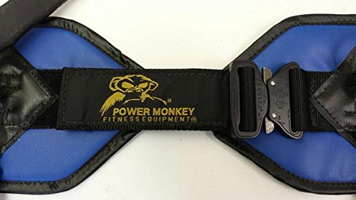 Power Monkey Gymnastics Rings - Ring Thing & Dream Machine for Kids | Portable Home Gym Equipment for Strength Training & Fitness Workouts
