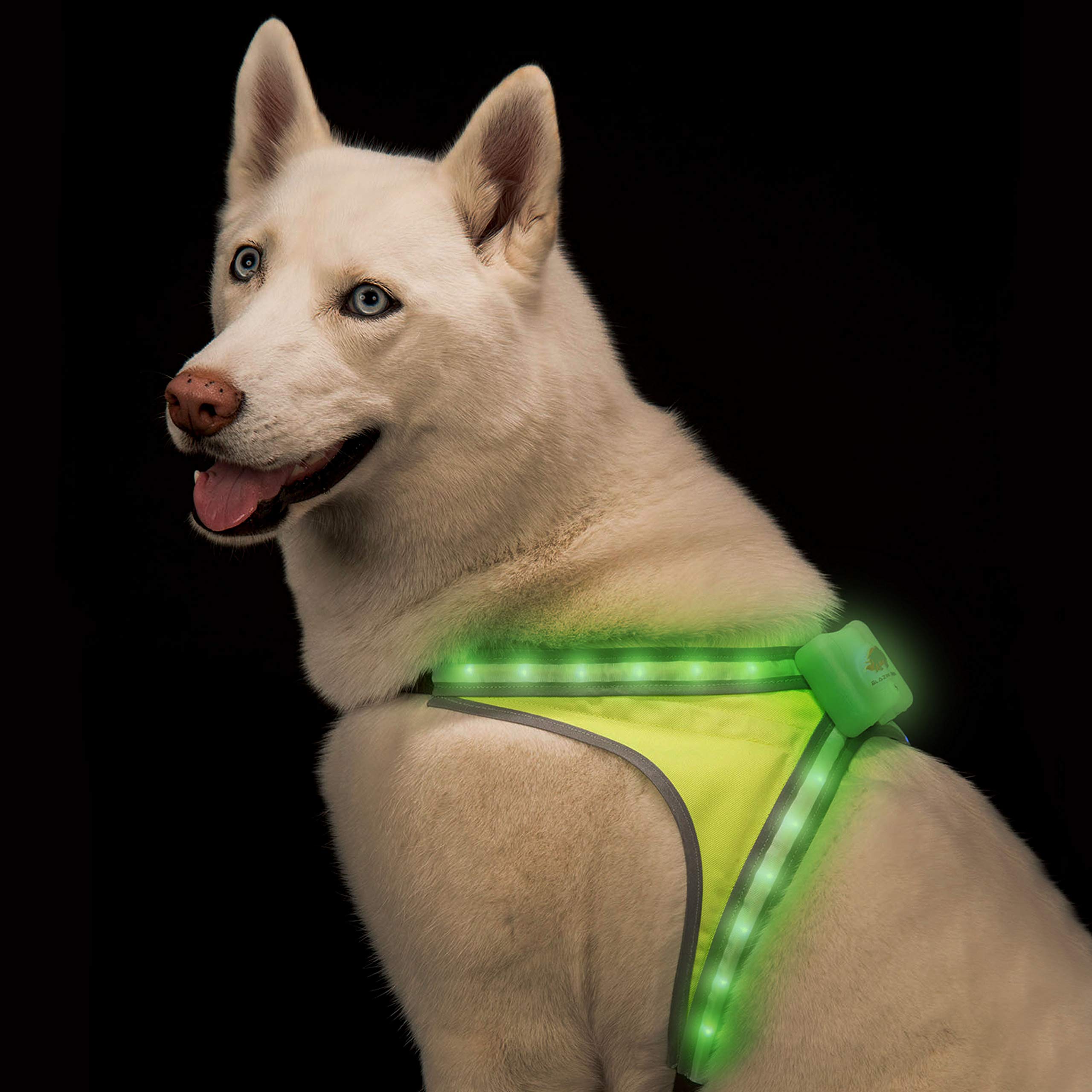 BLAZIN Safety LED Dog Harness - USB Rechargeable, Waterproof, Adjustable Pet Vest with 8 Color Lights & 6 Flashing Modes - Visible Up to 1000 Feet - Perfect for Night Walks, Jogging, and Outdoor Adventures (Small)