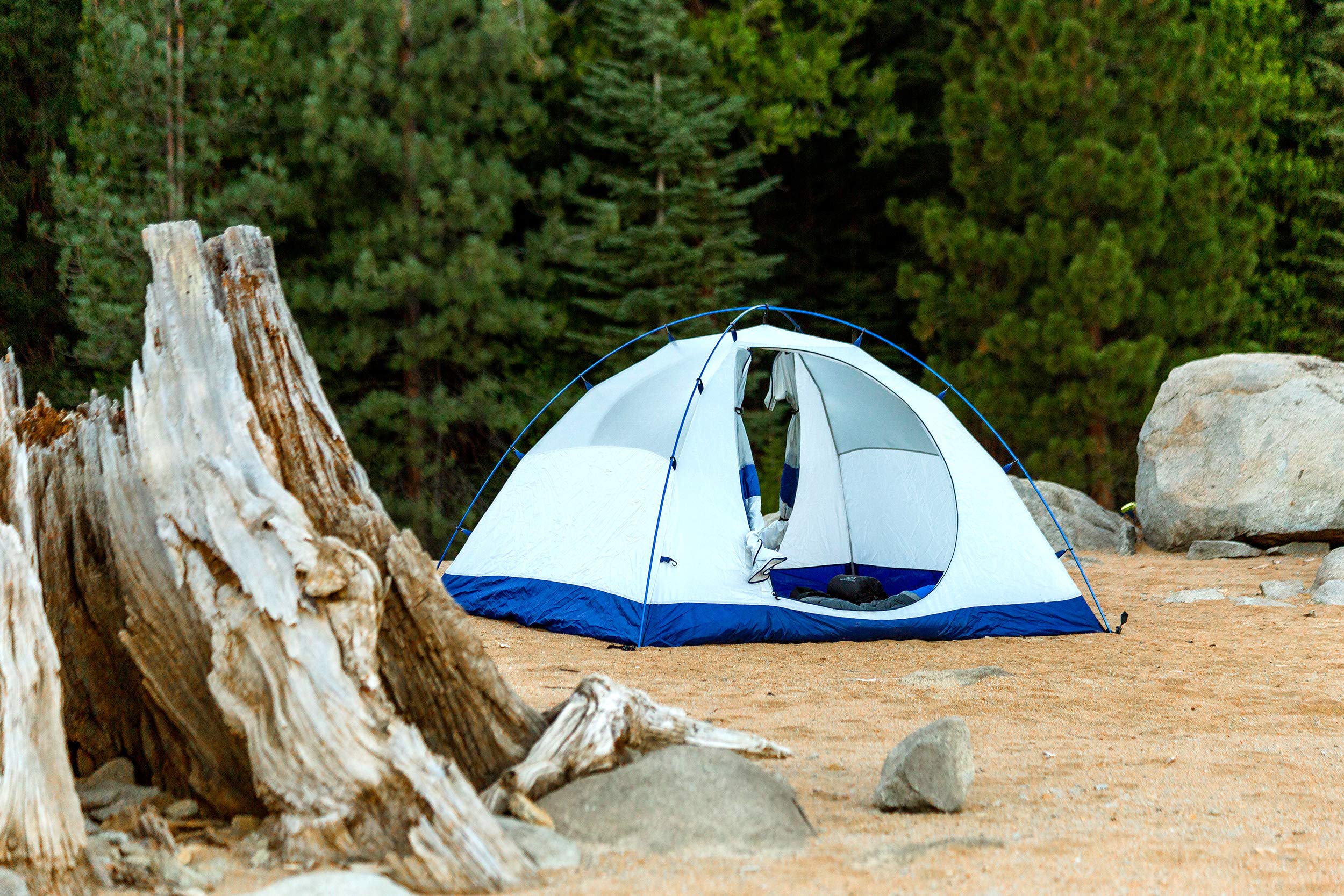 ALPS Mountaineering Lynx 4-Person Tent - Lightweight Backpacking Tent for Camping, Hiking & Outdoor Adventures - Waterproof 4-Season Shelter for Family Camping Trips