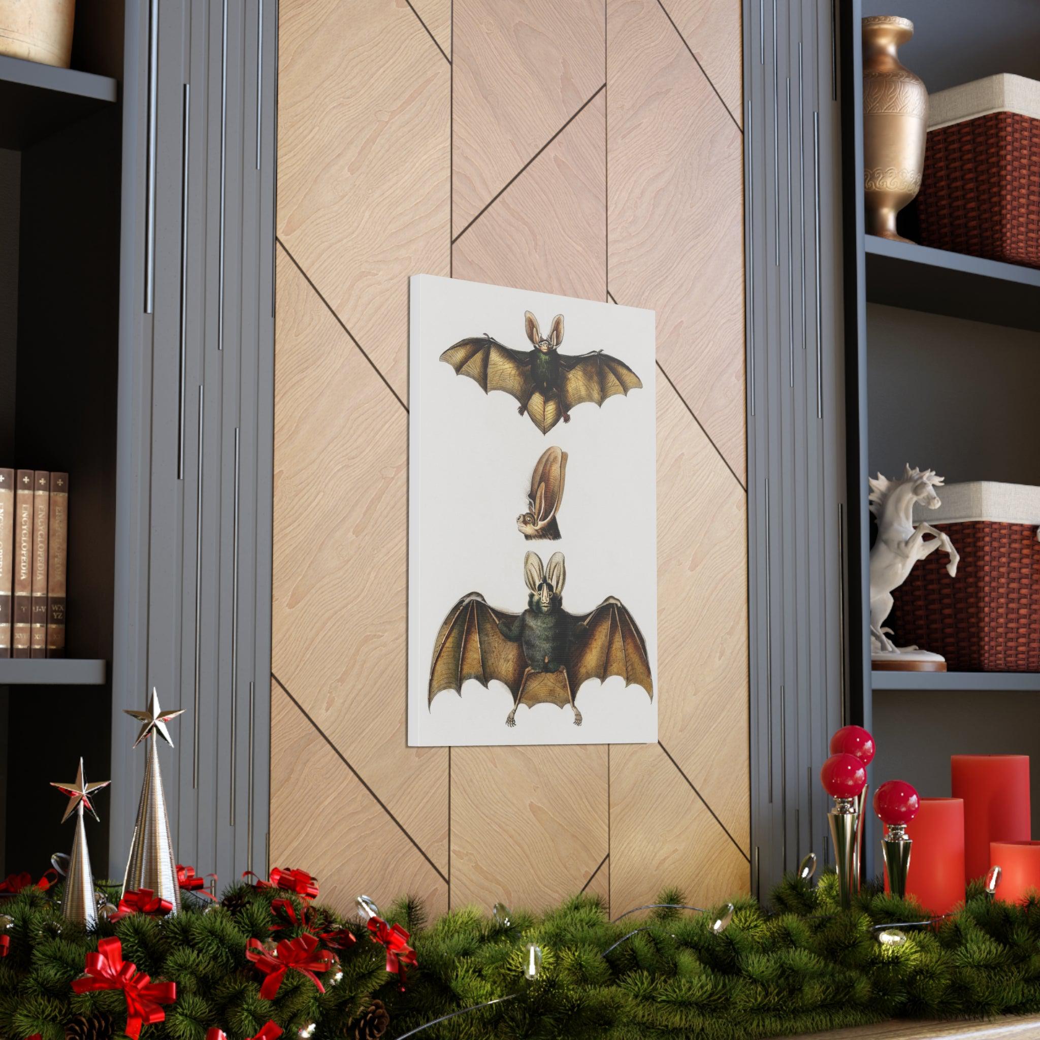 Plecotus Bat Art Print by Charles Dessalines - Stunning Canvas Wall Decor for Home, Office & Gifts | Wildlife Illustration | Nature-Inspired Decor
