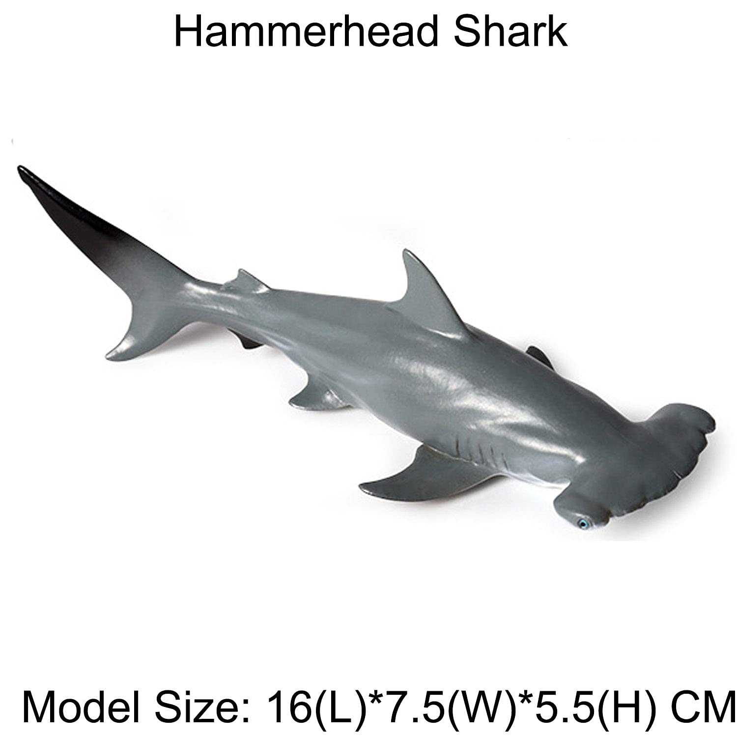 Flormoon JOKFEICE Shark Toys 5pcs - Realistic Hammerhead Shark Figures, Ocean Animal Action Models for Science Projects & Learning - Educational Birthday Gift for Kids, Cake Topper & Party Decor