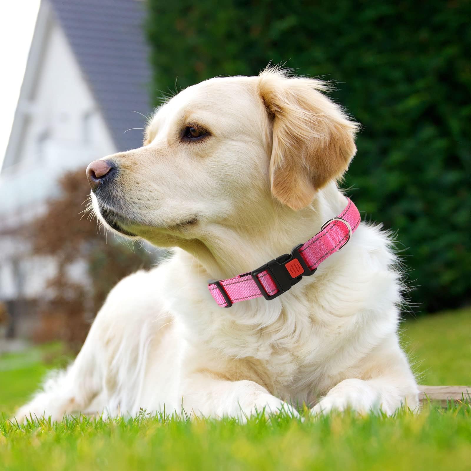 Reflective Adjustable Dog Collar - Ultra Soft Breathable Neoprene Pet Collar with Quick Release Buckle for Puppy, Small, Medium & Large Dogs - Perfect for Night Walks, Jogging & Outdoor Adventures
