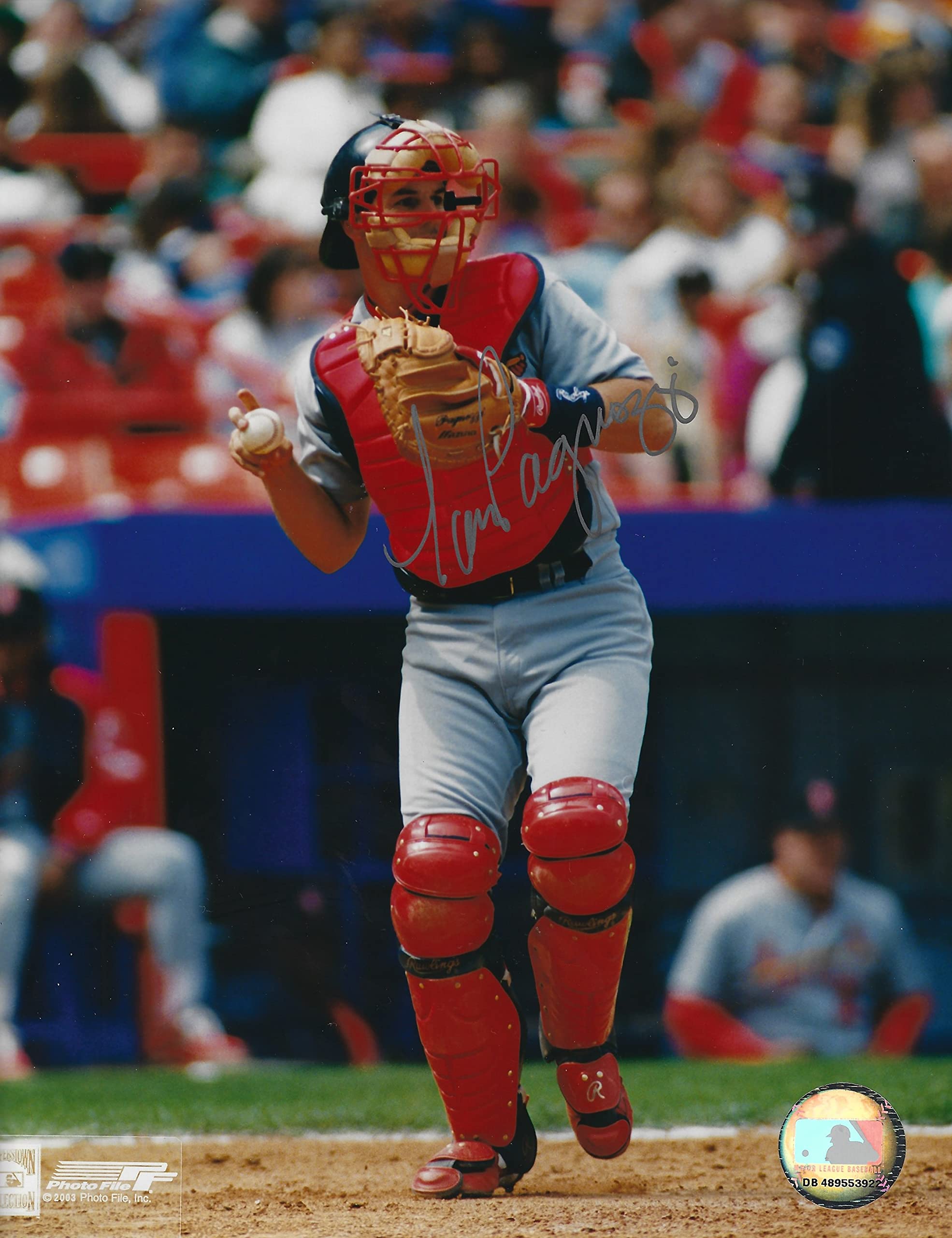 Autographed Tom Pagnozzi 8x10 St. Louis Cardinals Baseball Photo - Perfect for Sports Memorabilia Collectors & Cardinals Fans Display