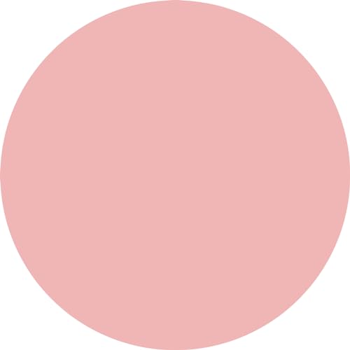 Veiled Rose