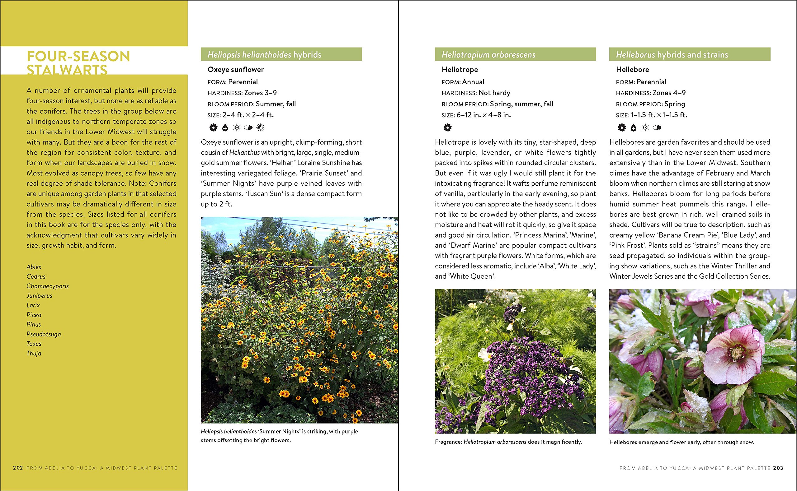Growing the Midwest Garden: Regional Ornamental Gardening Guide for Beautiful Landscapes | Perfect for Midwest Homeowners & Garden Enthusiasts