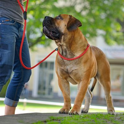 **Freestyle Retriever Leash - Durable Dog Leash for Training & Outdoor Adventures - Perfect for Hiking, Running & Daily Walks**