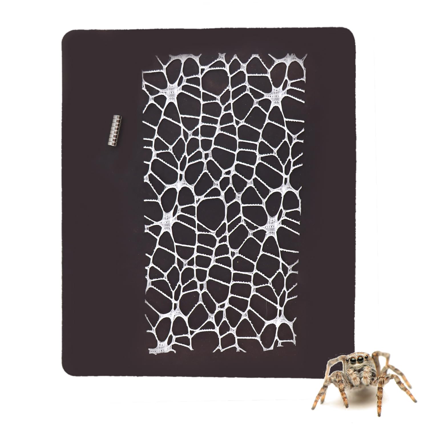 4 Pack Magnetic Jumping Spider Webbed Moss Ribbon - Climbing Ladder & Habitat Decor for Spoods Enclosure | Perfect for Spider Terrariums, Pet Tarantula Homes & Exotic Insect Habitats
