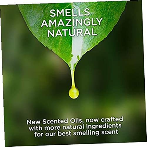 Air Wick Plug in Scented Oil Refill - 5 Count, Blue Agave & Bamboo Fragrance - Essential Oil Air Freshener for Home, Office, and Bathroom