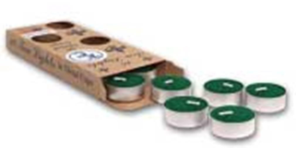 Premium Balsam Fir Scented Tea Lights - Natural Aroma Candles for Home, Relaxation & Holiday Decor (Set of 24) - Perfect for Christmas, Cozy Evenings & Aromatherapy