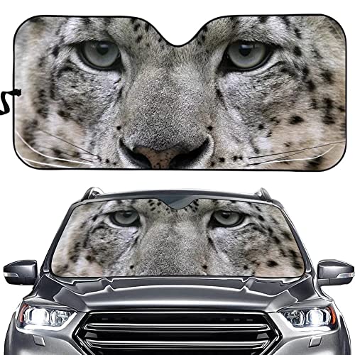 Snow Leopard