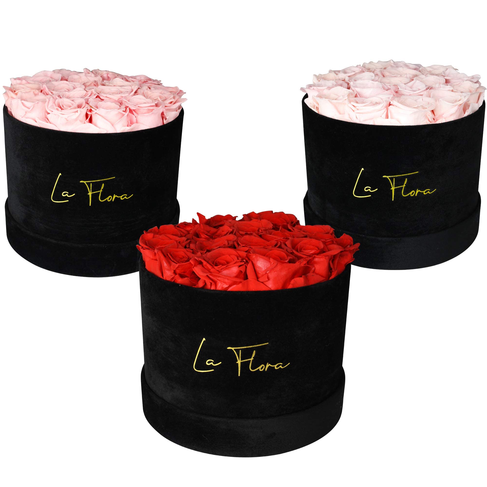 La Flora Preserved Roses Gift Box - 14-16 Long Lasting Roses That Stay Fresh for 1 Year | Perfect for Anniversaries, Valentine's Day, Weddings & Special Occasions