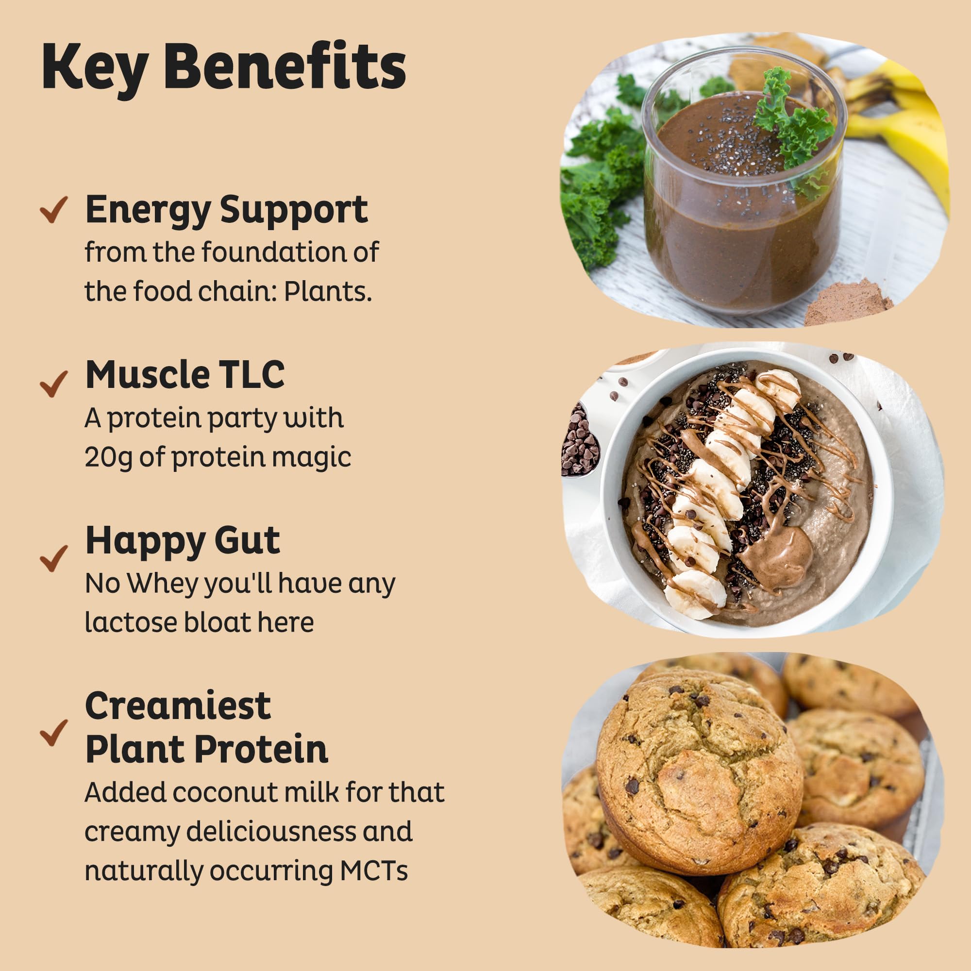 KOS Organic Vegan Protein Powder - Chocolate Peanut Butter Flavor | Plant-Based, Keto Friendly, Gluten Free, Dairy Free & Soy Free Protein Supplement (15 Servings) - Perfect for Post-Workout Recovery & Healthy Smoothies