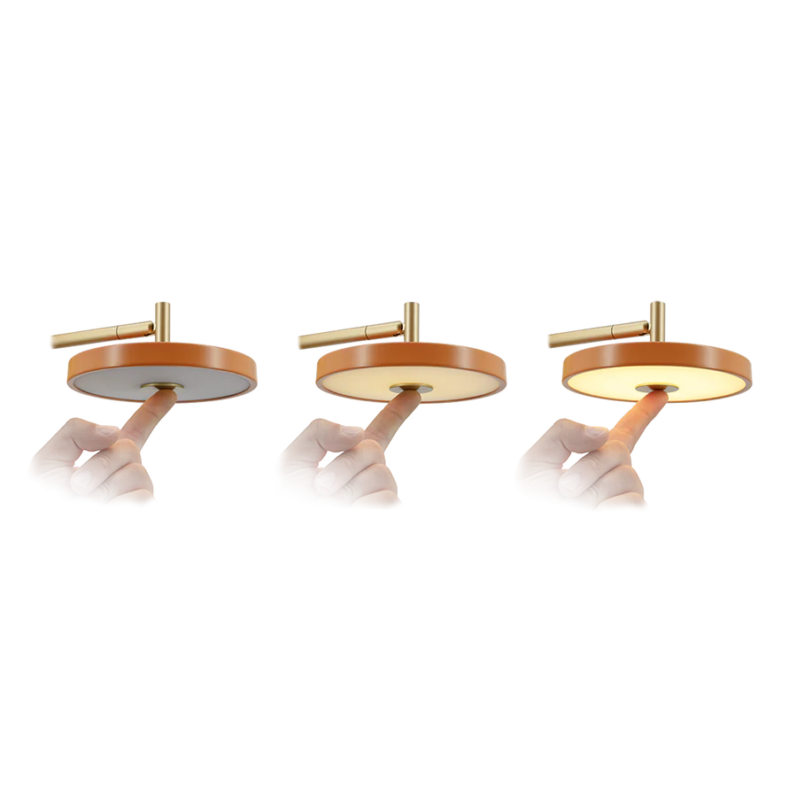 Asteria Modern LED Wall Light - Short & Long Sconce with Multiple Finish Options - Perfect for Bedroom, Hallway, and Outdoor Lighting