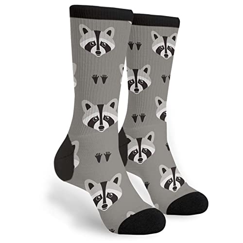 Raccoon
