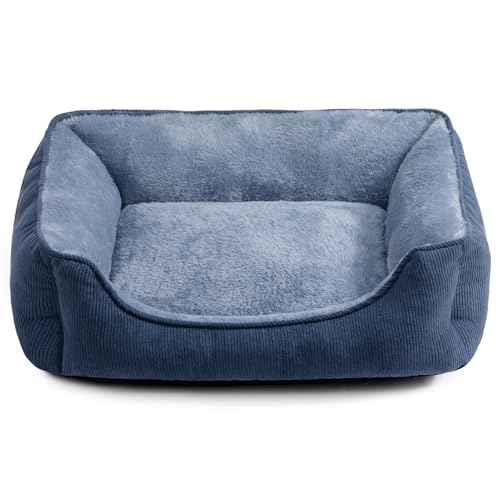 Blue-Grey