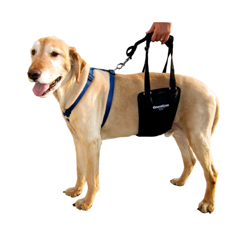 Dog Rehabilitation Support Harness - Adjustable Pet Mobility Aid for Post-Surgery Recovery & Injury Support - Perfect for Walking Assistance and Physical Therapy Sessions