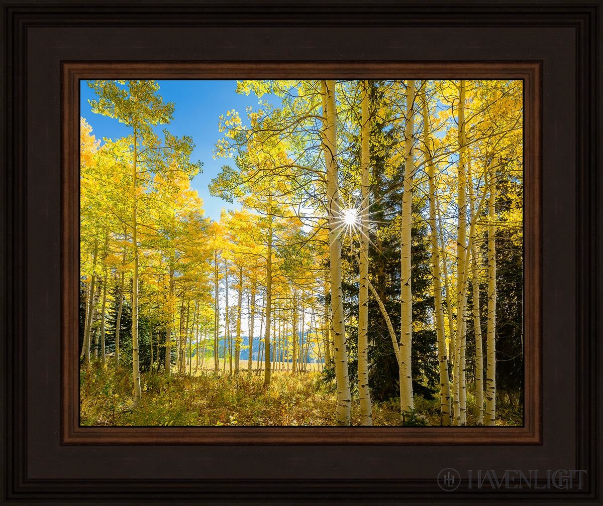 Autumn in the Rocky Mountains - Stunning Fall Foliage at Wasatch National Forest Utah | Perfect for Hiking, Photography & Nature Exploration