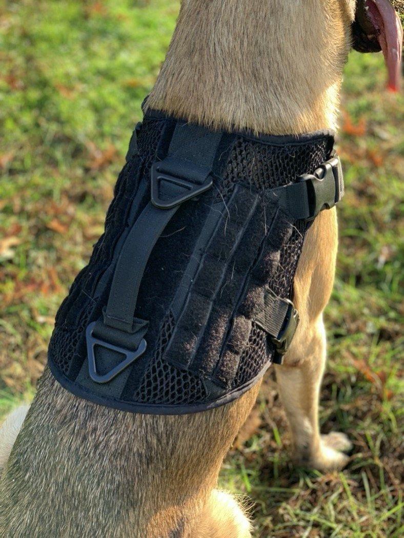 Artemis No Pull Dog Harness - Adjustable, Breathable, No Tug No Choke Pet Vest for Small Medium Large Dogs - Perfect for Walking, Running, Hiking & Outdoor Adventures