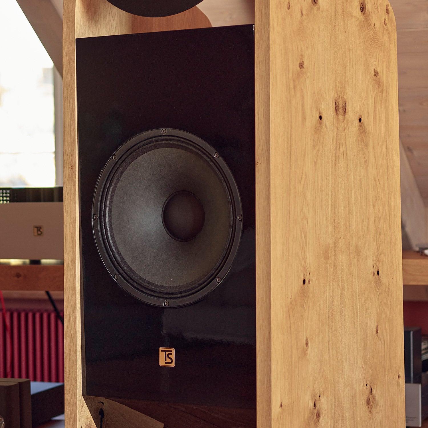 Tobian Sound System 15 Signature Horn Speaker - High-Fidelity Audio for Home Theater, Studio & Outdoor Events | Premium Sound Quality for Music Lovers & Audiophiles