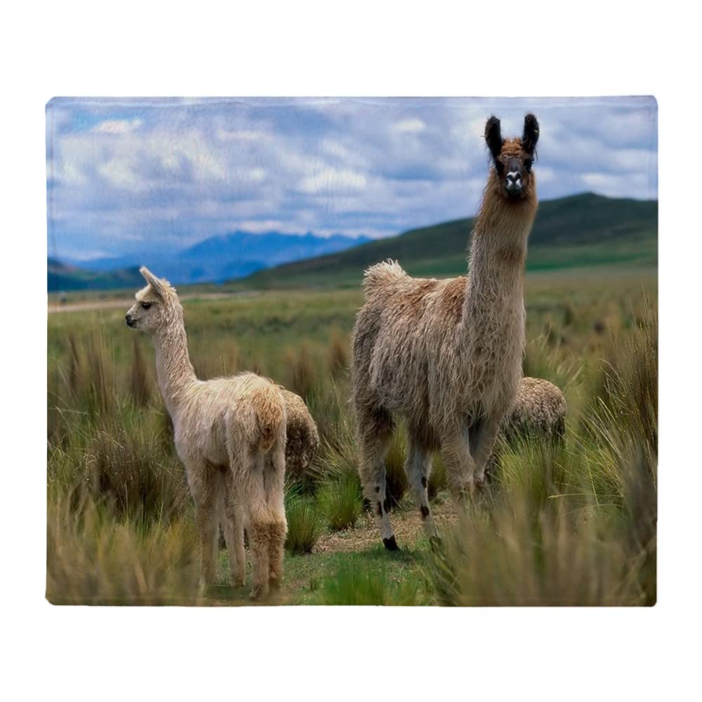 Cozy Arctic Fleece Throw Blanket - Super Soft & Warm 50