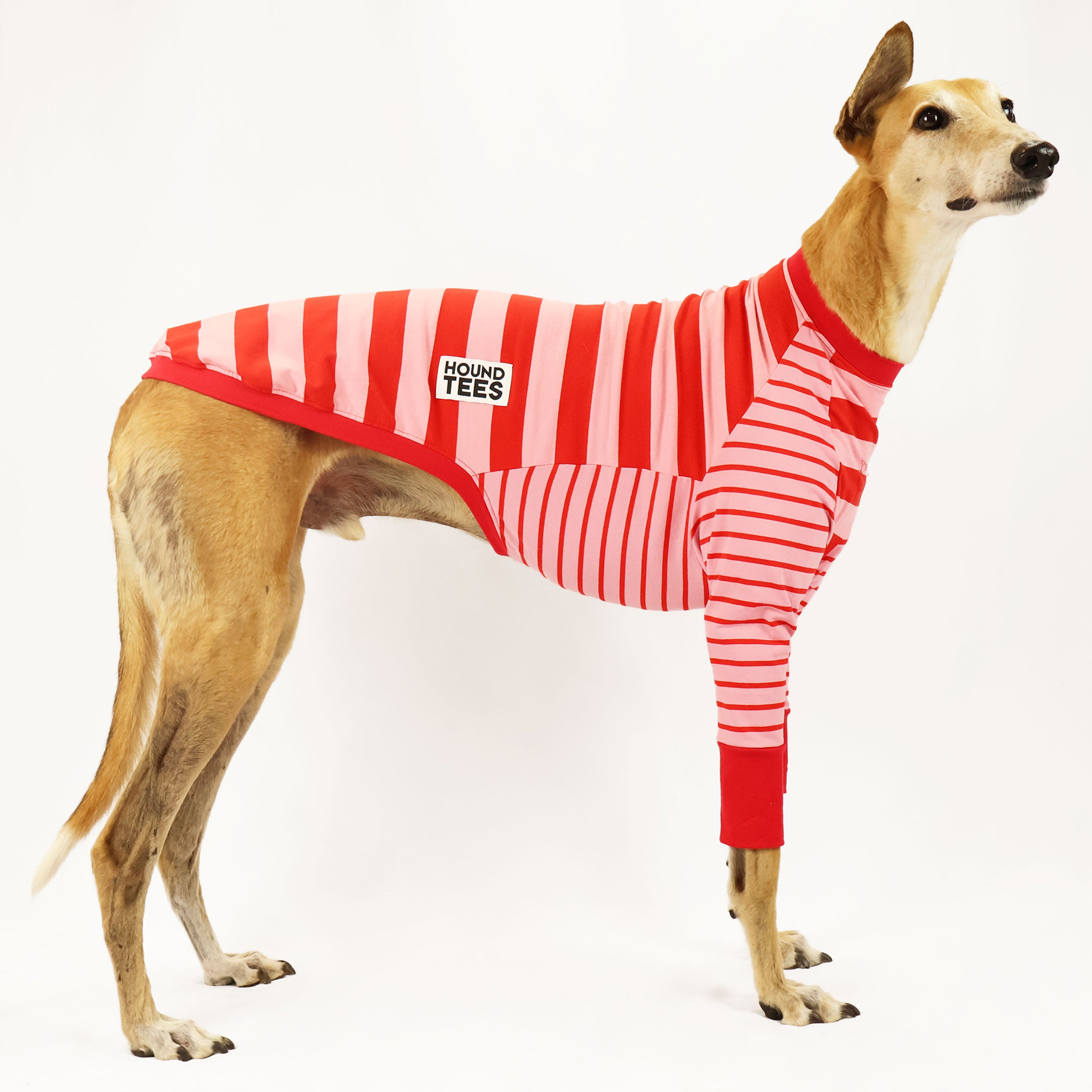 Love Candy Greyhound Long Sleeve Hound T-Shirt - Comfortable Dog Lover Apparel for Casual Wear & Outdoor Activities