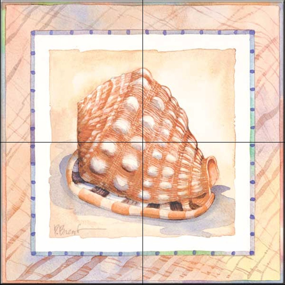Ceramic Backsplash Tile Mural - Sea Shell Themed Kitchen Bathroom Shower Wall Decor - Bordered Shell Helmet Design by Paul Brent - Perfect for Coastal, Beach House & Nautical Style Interiors