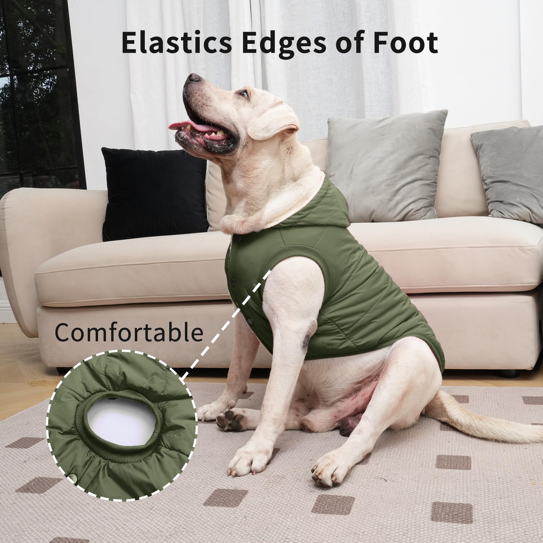 Extra Warm Winter Dog Hoodie Jacket for Large Dogs - Green XXL Pet Coat with Hood | Cozy Outdoor & Indoor Wear for Cold Weather