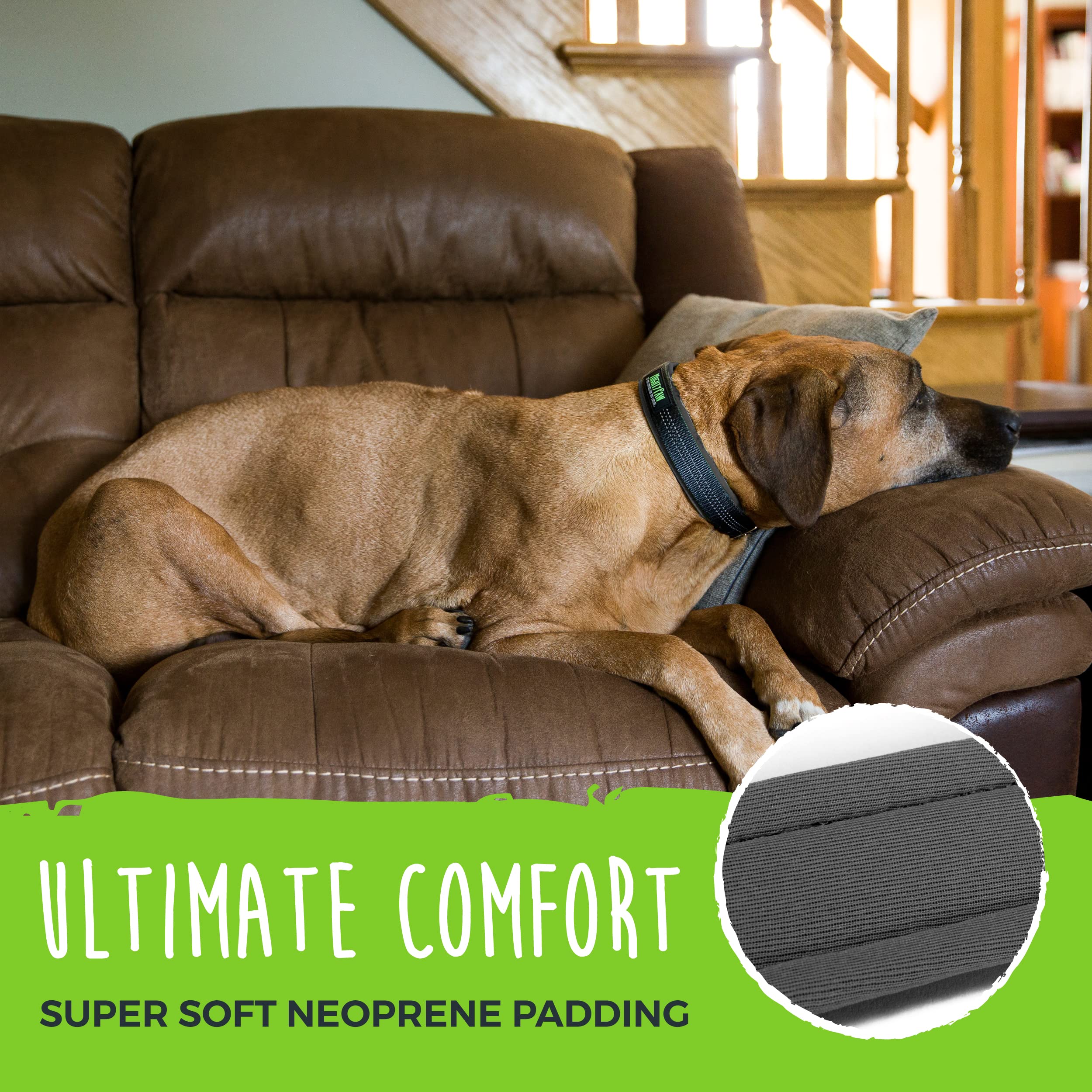 Mighty Paw Ultra Soft Dog Collar with Neoprene Padding - Adjustable All-Metal Buckle for Small & Large Dogs - Durable & Comfortable Pet Collar for Daily Walks, Training & Outdoor Adventures - Reflective for Night Safety