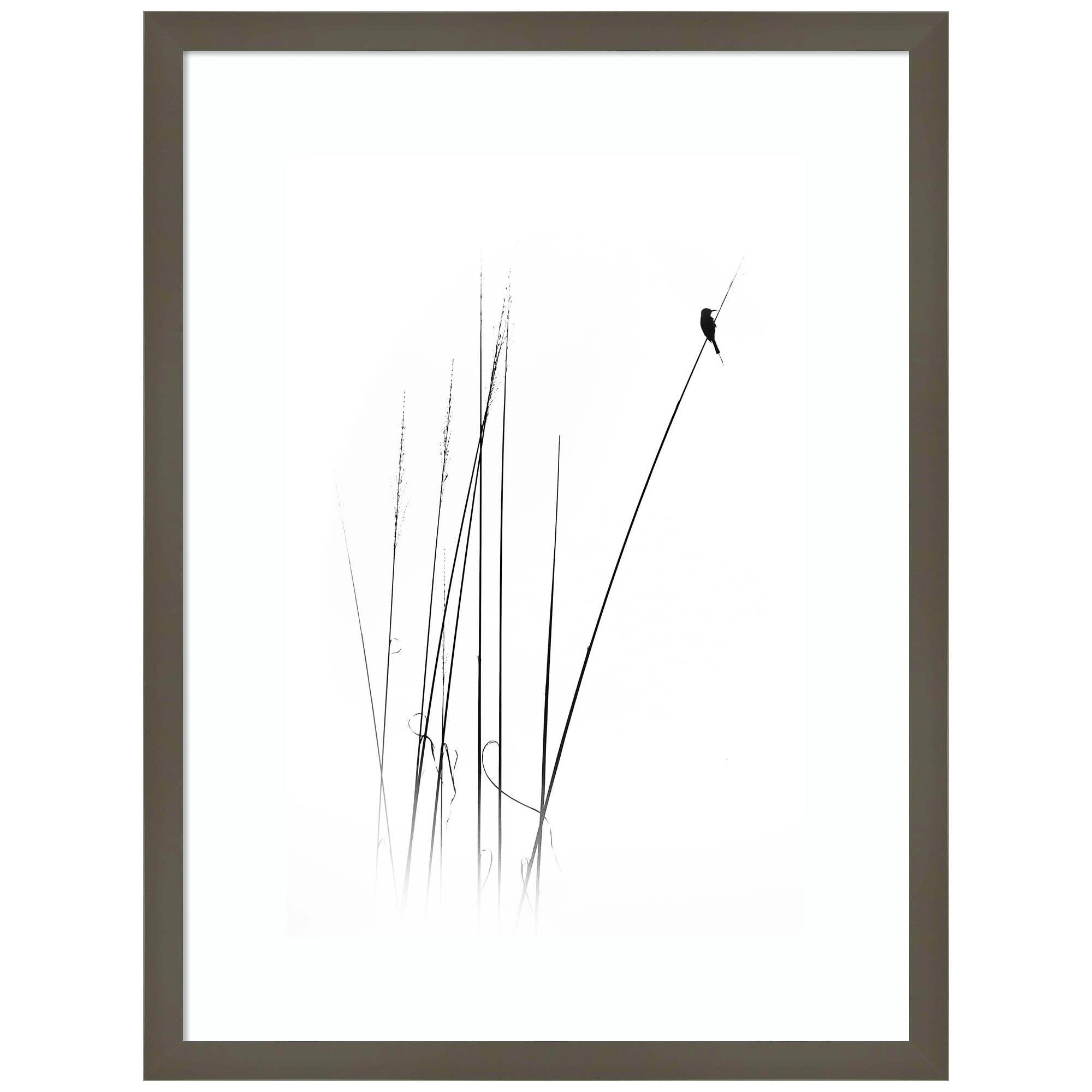 Amanti Art Framed Wall Art Print 24x18 - Sabbatical Bird Painting by Swapnil | Black & White Animal Wall Decor | Medium Poster Artwork for Living Room, Bedroom, Office | Perfect for Modern Home & Office Decor